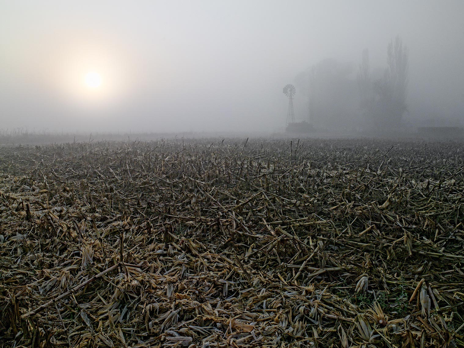 5-mist-2