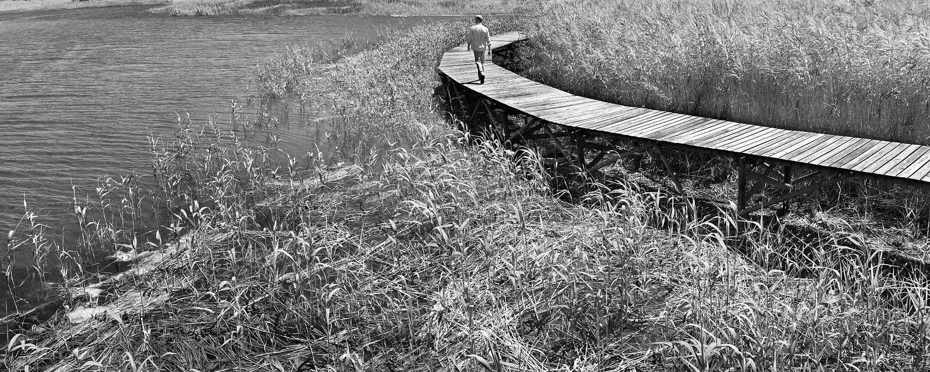 80-Jetty_WORK-2-print-bw-new