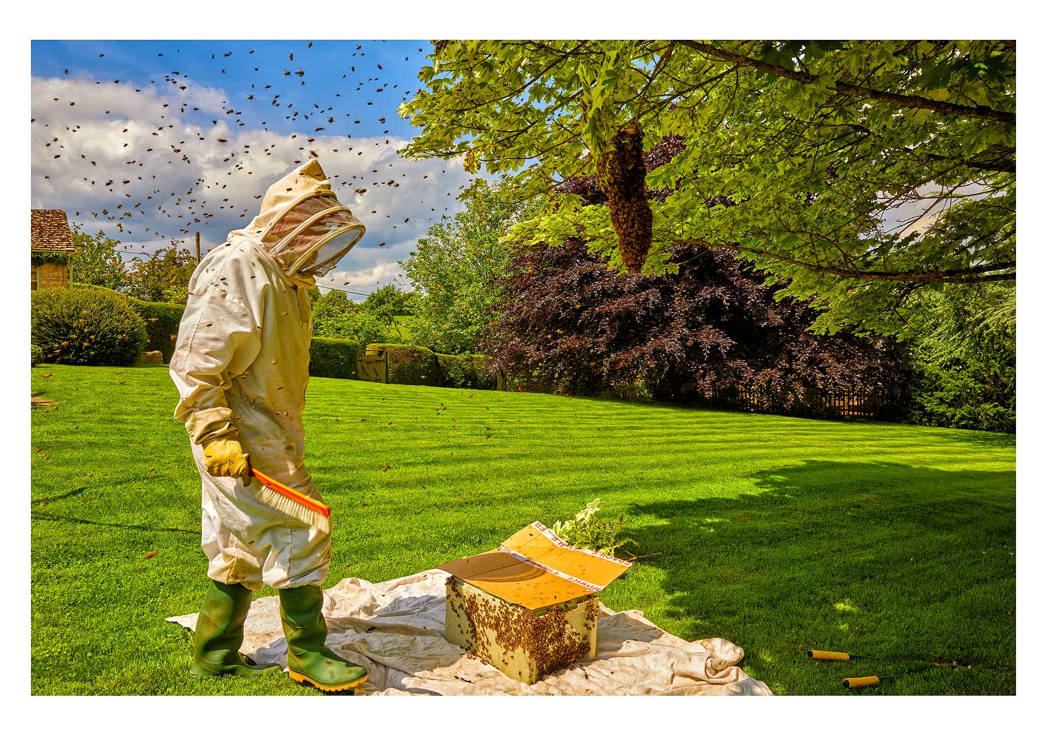 bee-keeper-8