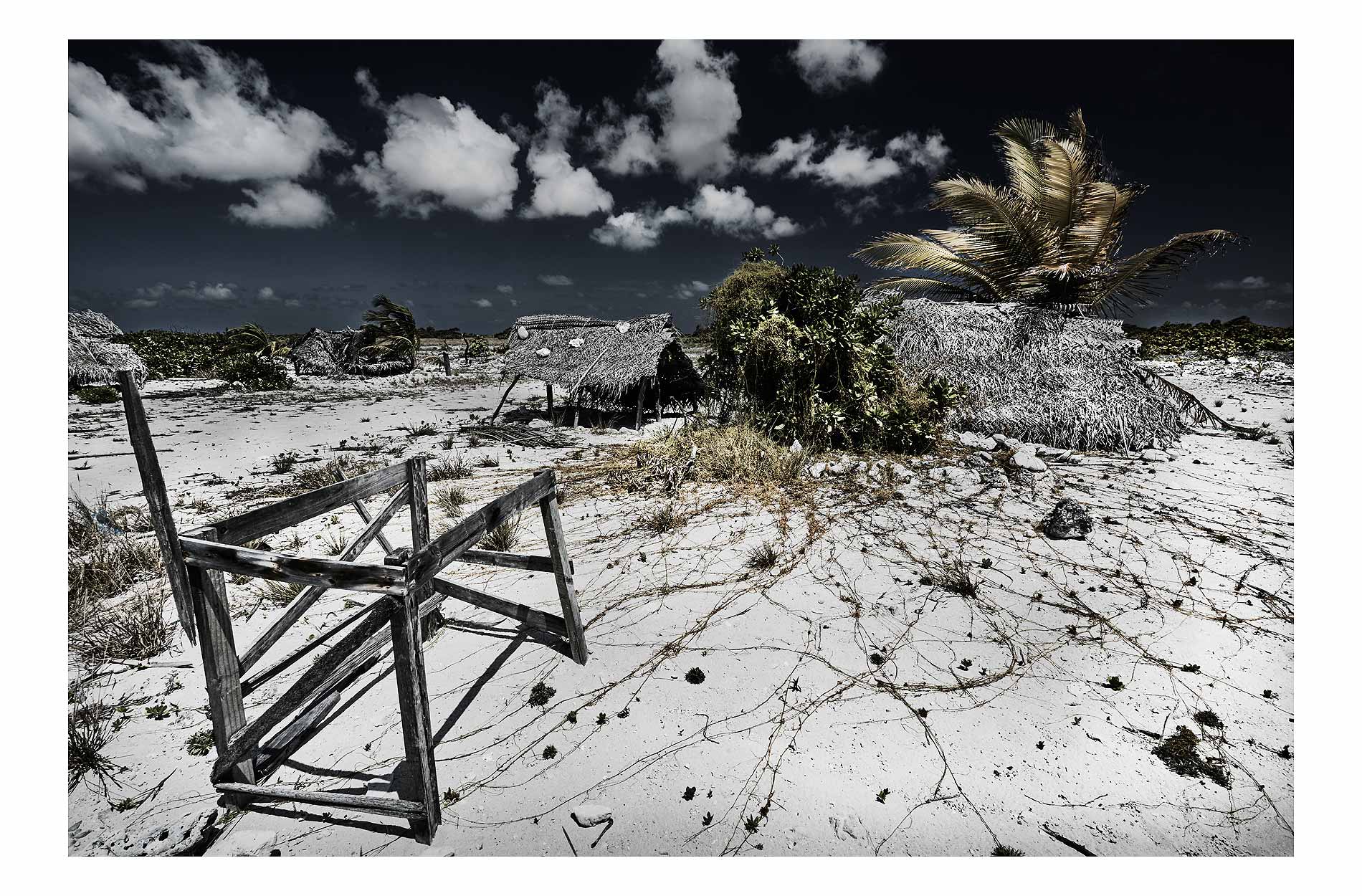 dry-land-7