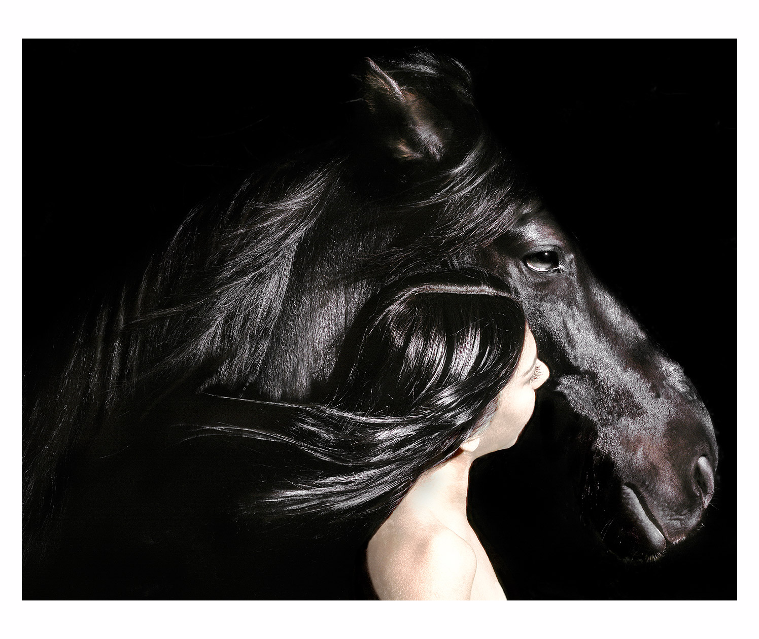 horse-and-girl