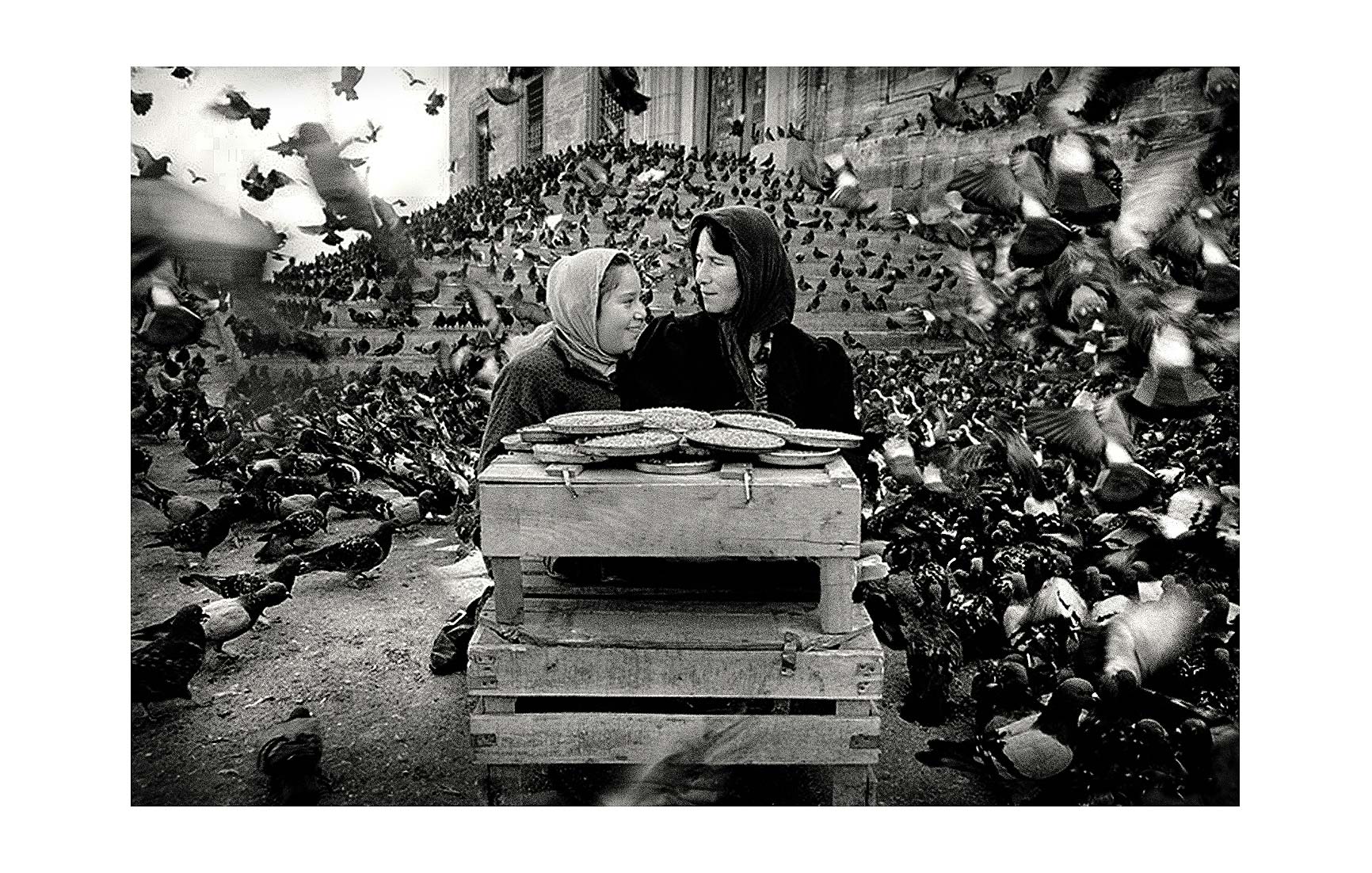pigeon-ladies