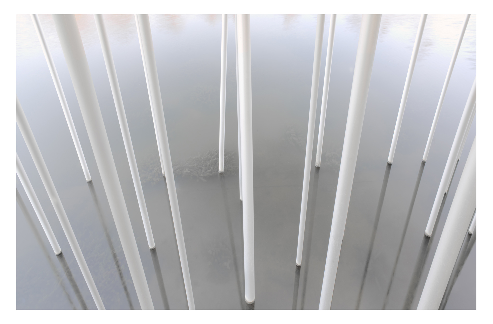poles